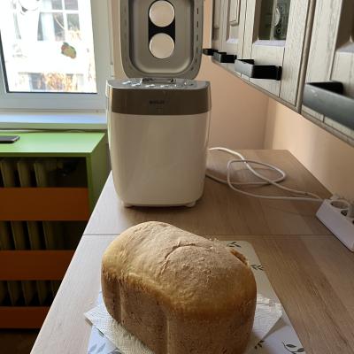 Img 1087
